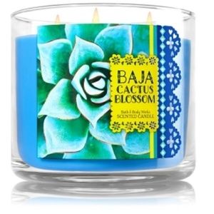 BBW Baja Cactus Blossom Candle